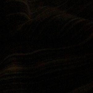 Meet your Posher, Kelsie